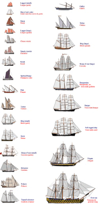 25 common vessels