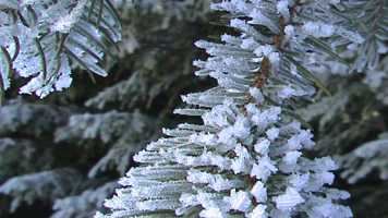 Givre de surface