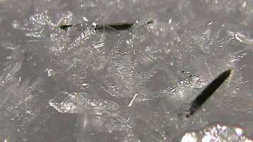 Snow crystals